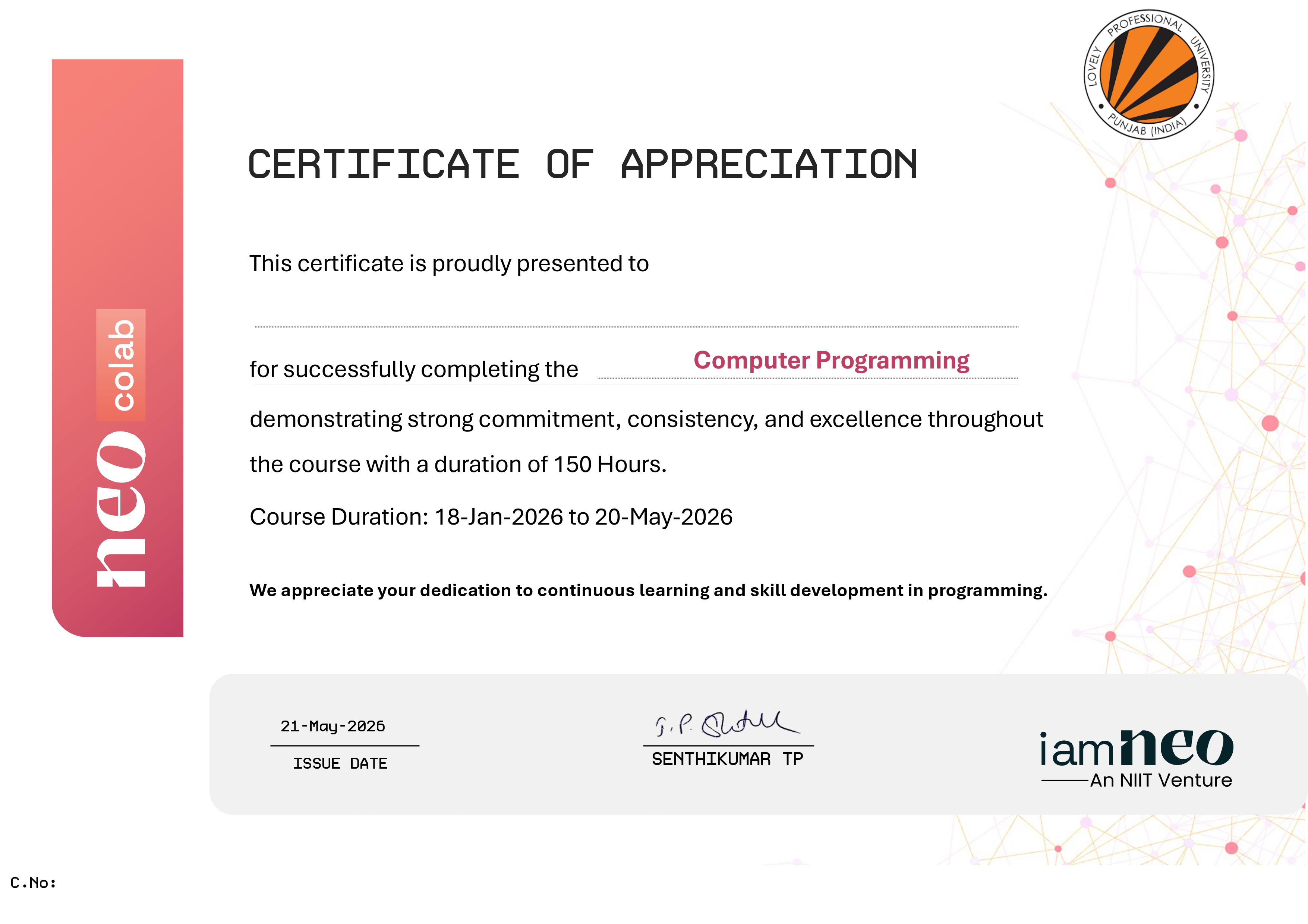 Computer Programming Certificate